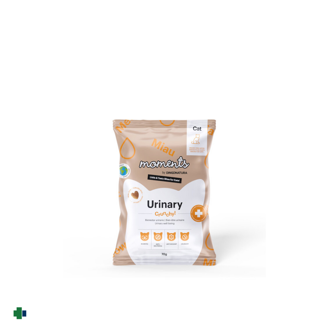 DINGONATURA MOMENTS CAT URINARY 70G